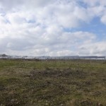 Solarpark auf der Mutlanger Heide