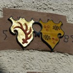 2015-07-05_Neckarsteig_03