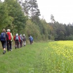 2015-09-13_Gäurandweg_03
