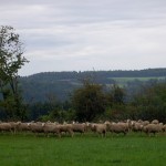 2015-09-13_Gäurandweg_05