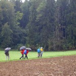 2015-09-13_Gäurandweg_06