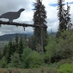 2016-06-01_Schluchsee_03