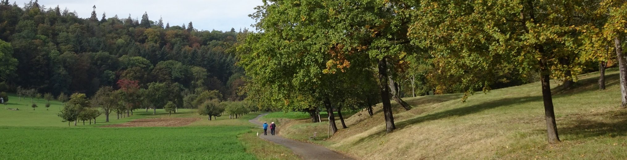 Ortsgruppe Bietigheim-Bissingen